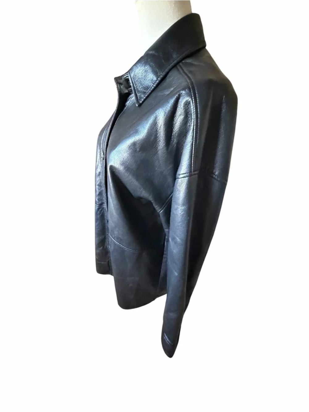 Aritzia babaton pelli